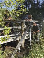 New supports for Wetlands Walk boardwalk
