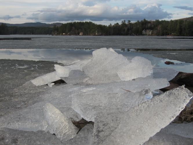 Reader Pics: April 28