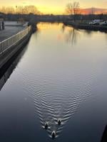 READER pics, reader-submitted shots of people, places, events, and scenery from around the Lakes Region