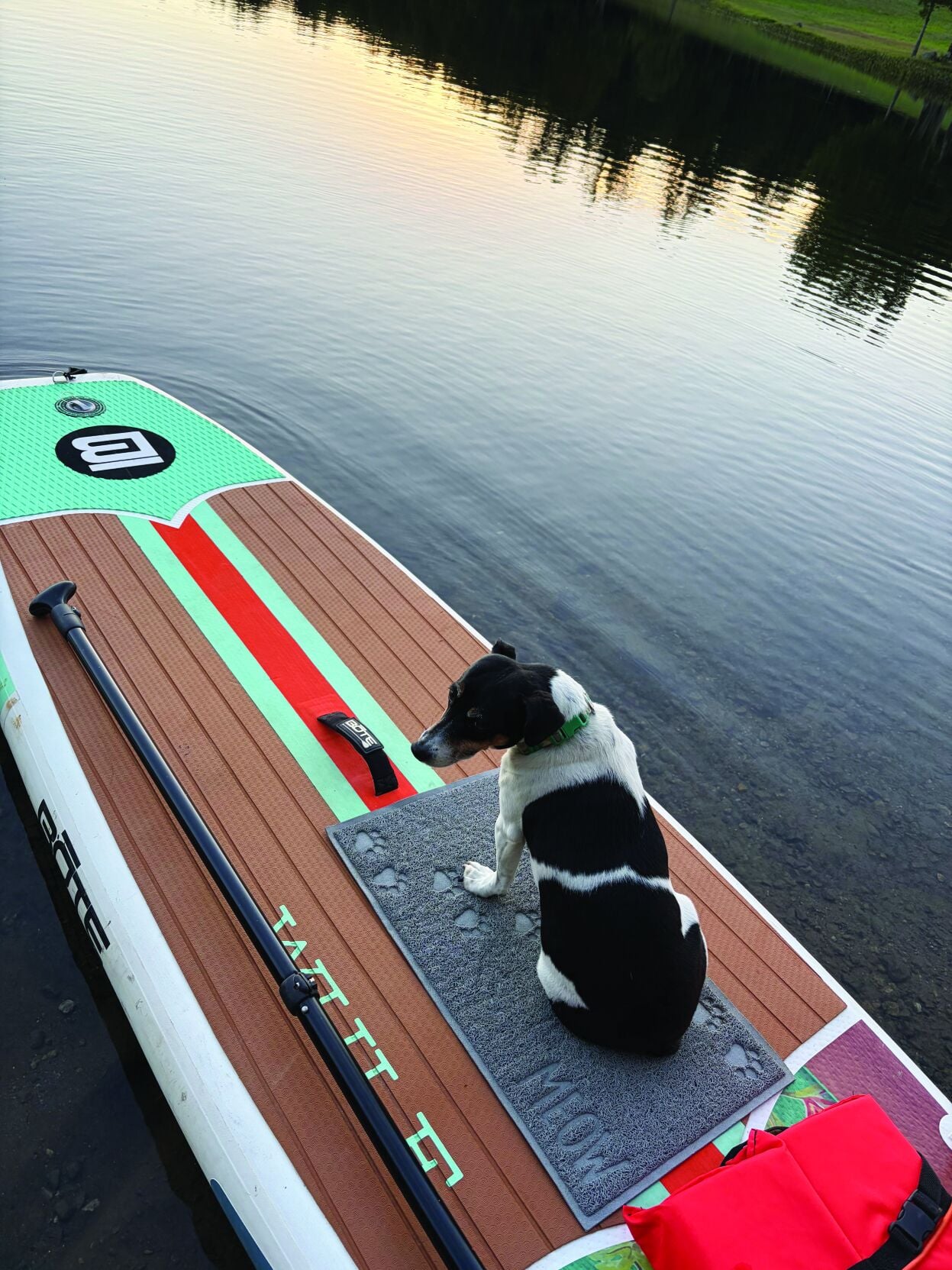 Paddleboarding