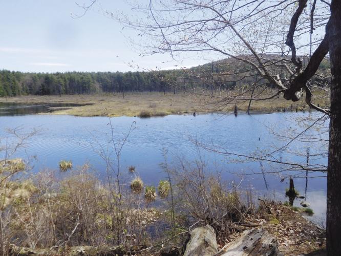 05-24 outdoor DSCN3780.jpg