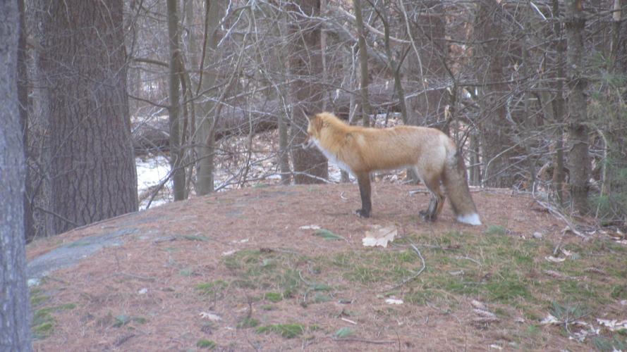 Reader Pics: April 22