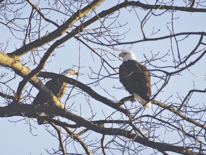 Reader Pics: March 24