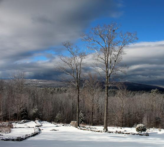 Reader Pics: April 13