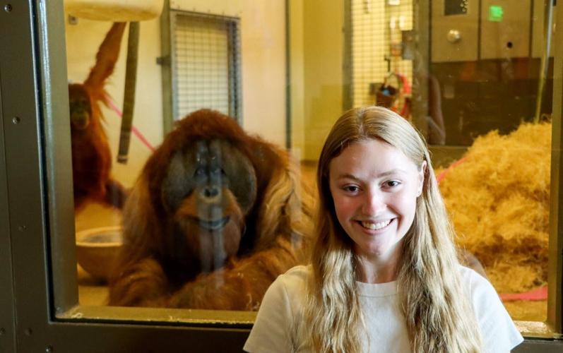 Hearing laughter helps orangutans to learn, reveals new research