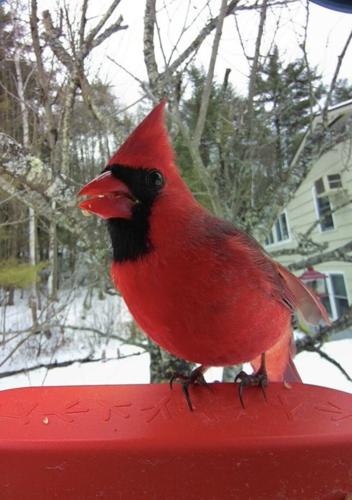 Reader Pics: March 28