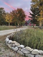 Serenity — and hard work — on the farm