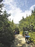 SLA to host wilderness survival guided hike