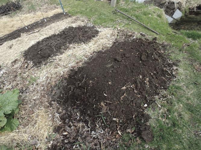 05-16 HOME Raised beds warm up quicker than flat beds in spring.jpg