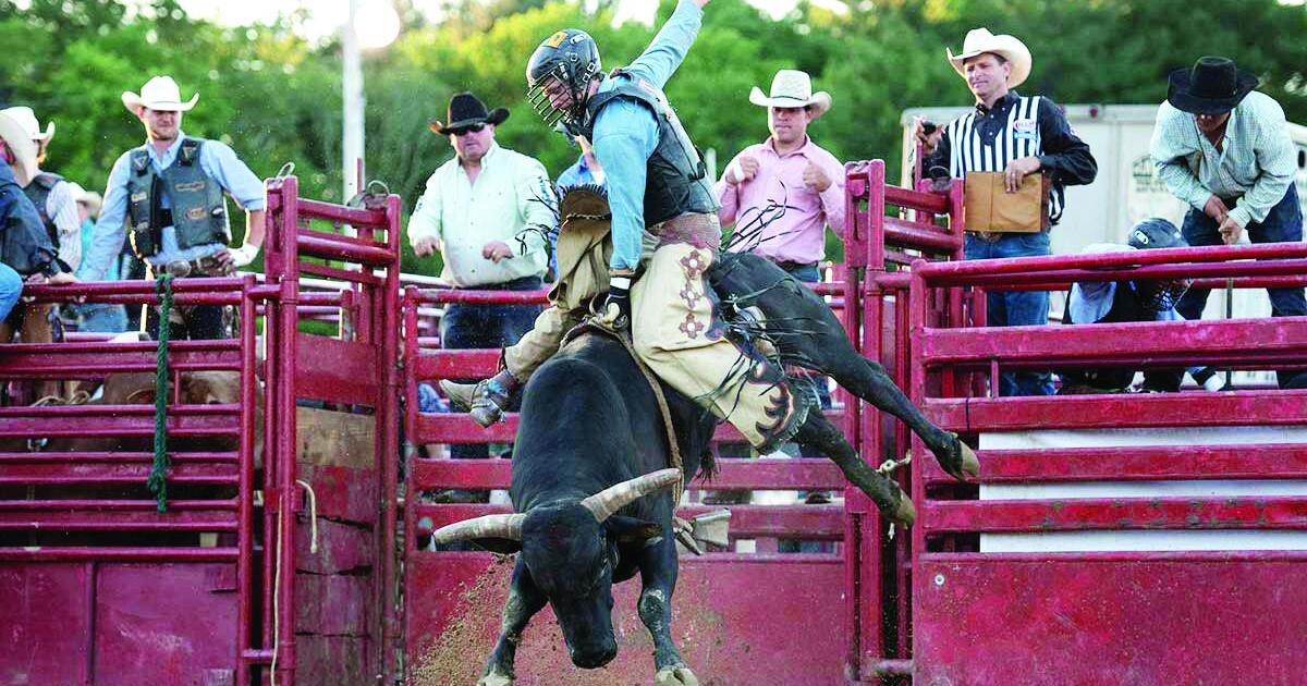 Sandwich Fairgrounds to transform into Wild West with 1st Sandwich Stampede