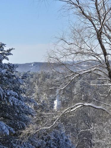 Reader Pics: March 10