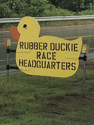 Meredith rubber duckie