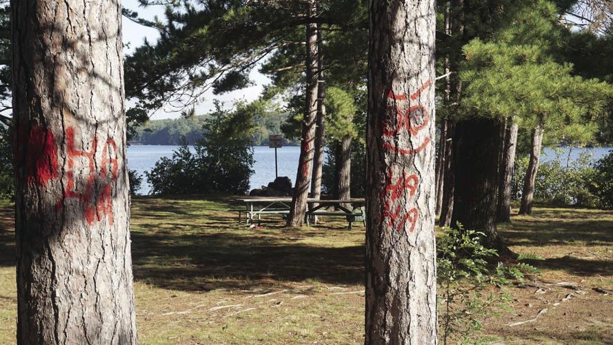 Opechee Park vandalism