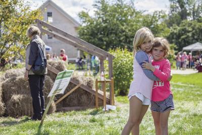 Harvest festival