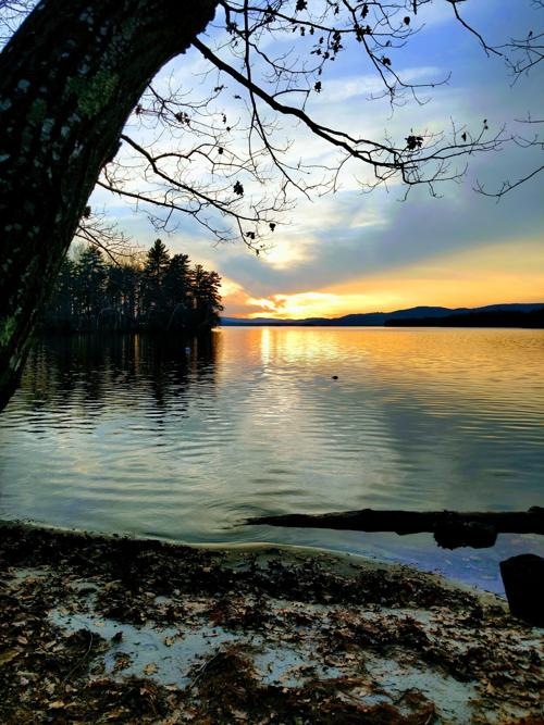 Reader Pics: Nov. 27