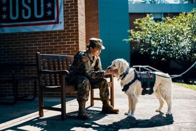 How Programming Found Worldwide Supports the U.S. Military Community