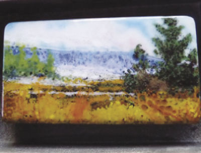 03-15 COM LandscapeQuad 3 cropped.jpg