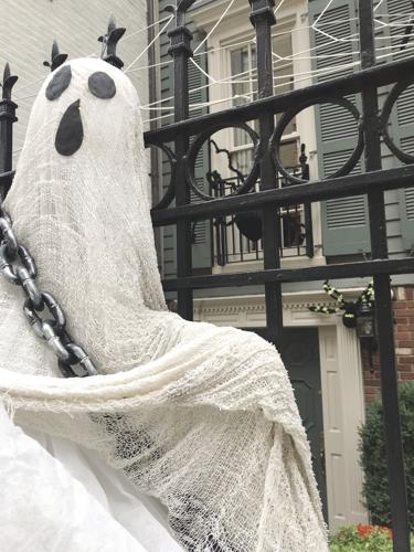 10-30 LS elizabeth IMG_7387.jpg