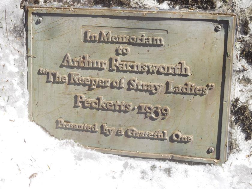 Frozen in time: Visiting waterfalls in winter