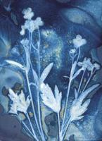 Galletly Gallery to host Light on Water: Paintings and cyanotypes by Amy Wilson