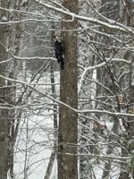 READER pics, reader-submitted shots of people, places, events, and scenery from around the Lakes Region