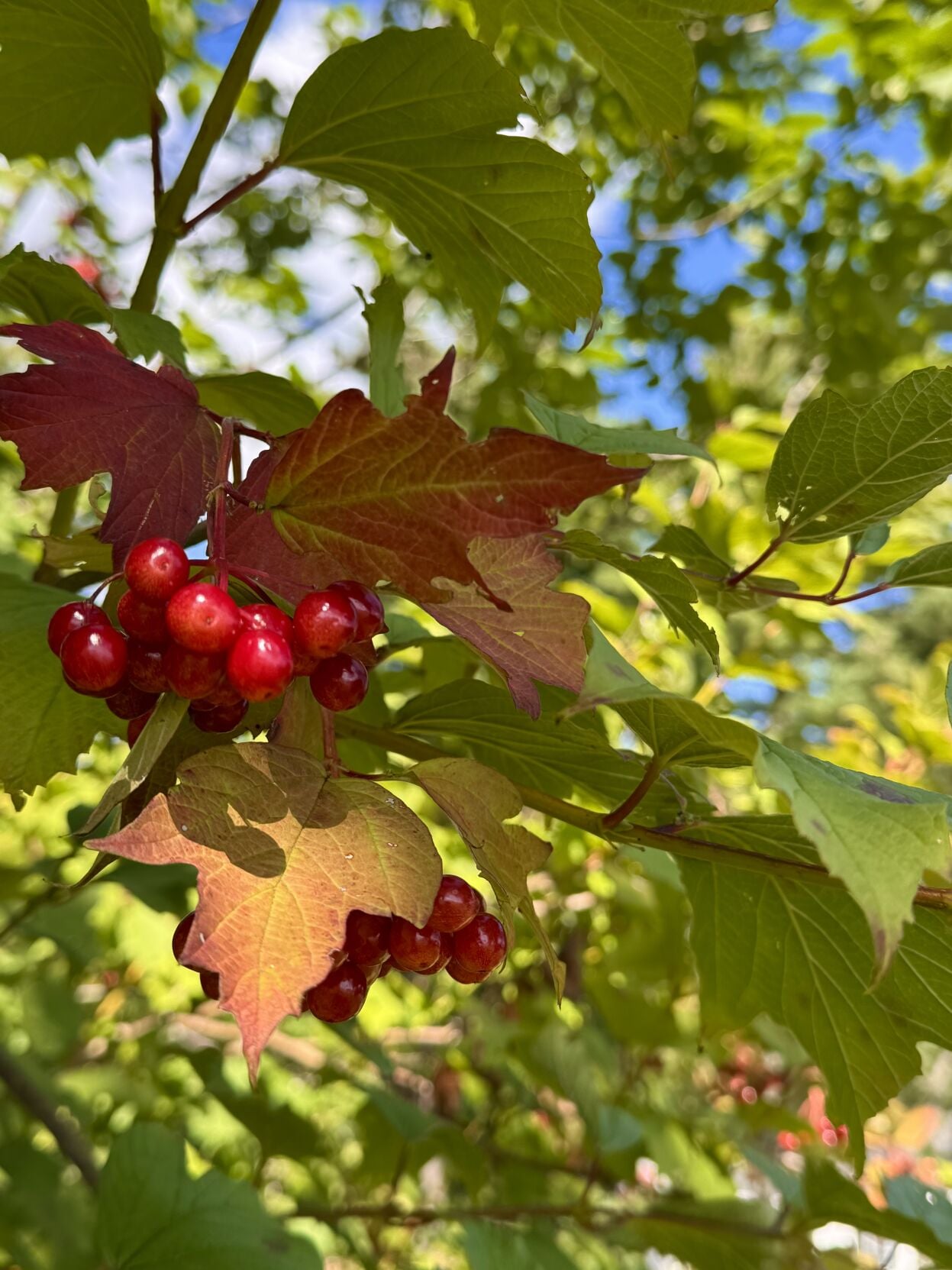 Reader Pics: Sept. 21