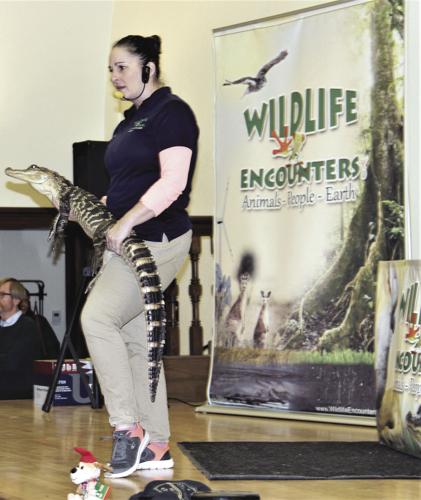 Last Night Wolfeboro Wildlife Encounters