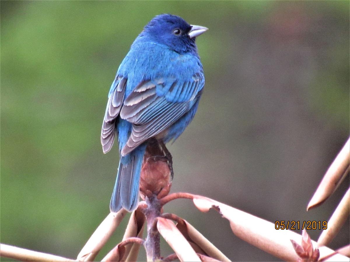 Reader Pics: May 27