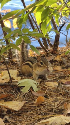 Reader Pics: Oct. 13