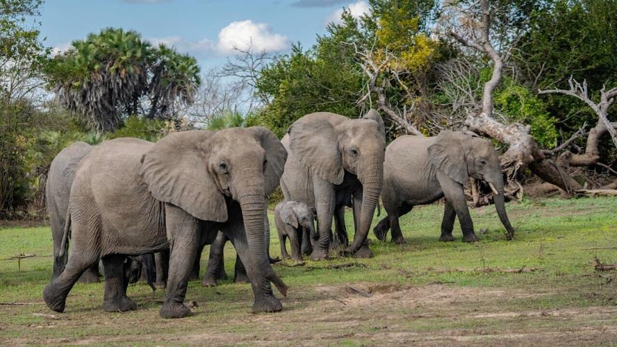 pexels-tomasz-dworczyk-podroz-za-milion-zdjec-2152356313-32342277 (1)