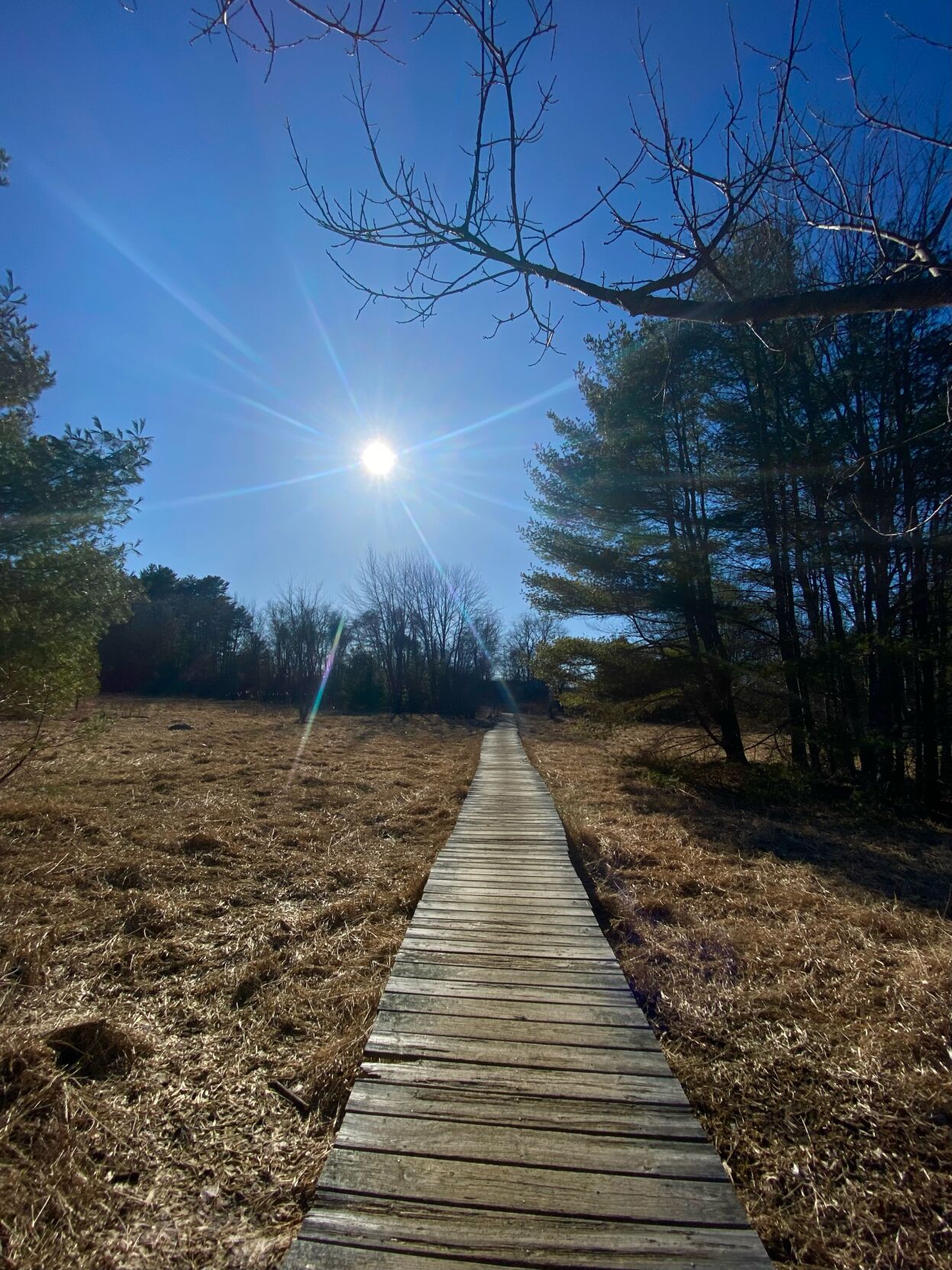 Reader Pics: April 17