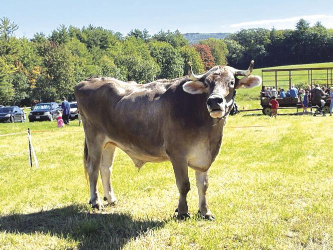 Ramblin’ Vewe Farm Day