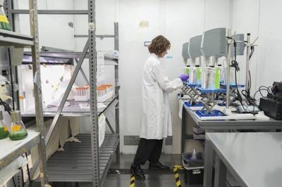 A scientist prepares samples while doing research on PFAS at a U.S. Environmental Protection Agency lab. Understanding of chemicals’ risks has been built on IRIS assessments.
              AP Photo/Joshua A. Bickel