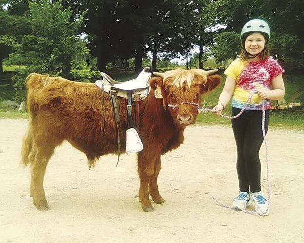 Learning how to work oxen