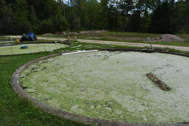 08-31 Phosphorous settling ponds