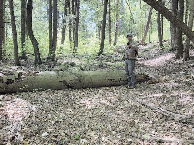 Jim Frohn explaining