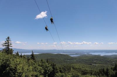 Gunstock