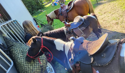 petting zoo