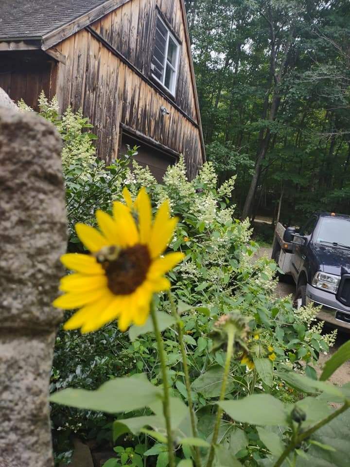 Reader Pics: Aug. 4