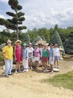 Recent activities of the Community Garden Club of Meredith