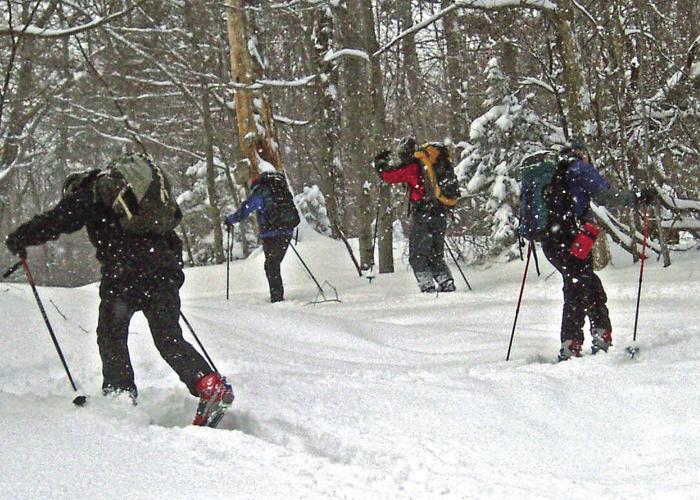 01-23 OUTDOORS Upward.jpg