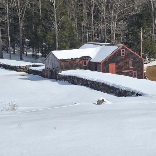 Reader Pics: Feb. 25