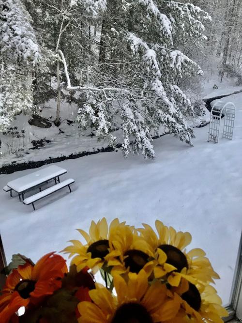 Reader Pics: Feb. 13