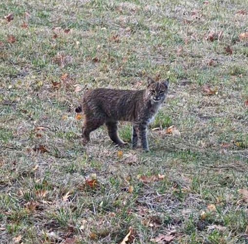 Reader Pics: Nov. 23