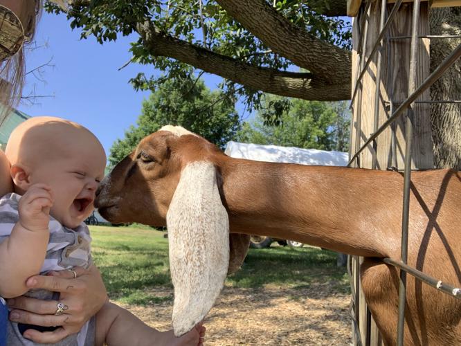 Reader Pics: Aug. 15