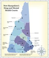 State's treatment courts adapt to meet challenges