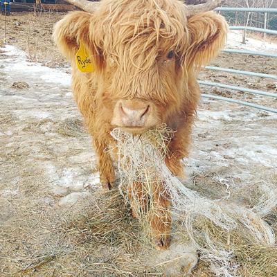 2-22 OUTDOORS eating plastic