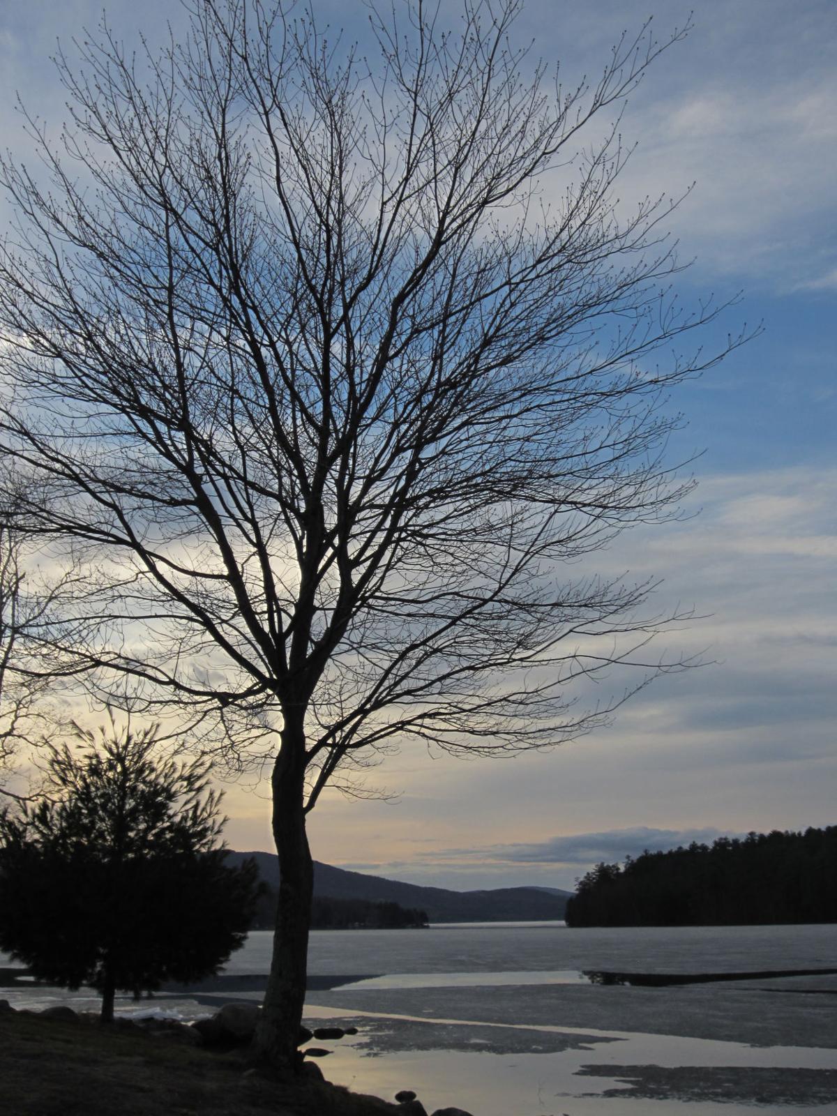 Reader Pics: April 28