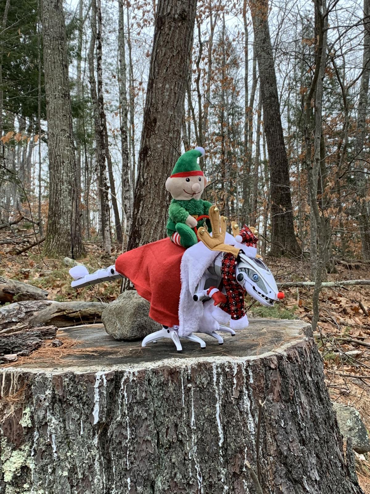 Reader Pics: Dec. 17