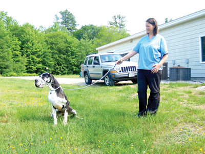 Conway takes nine dogs in rescue